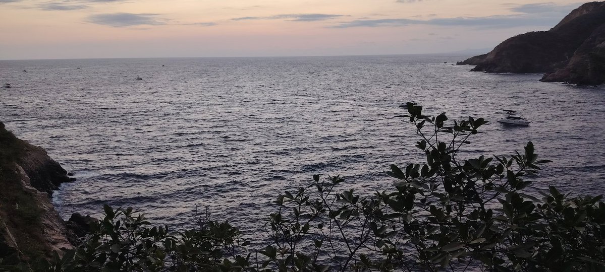 walter roses tweet media