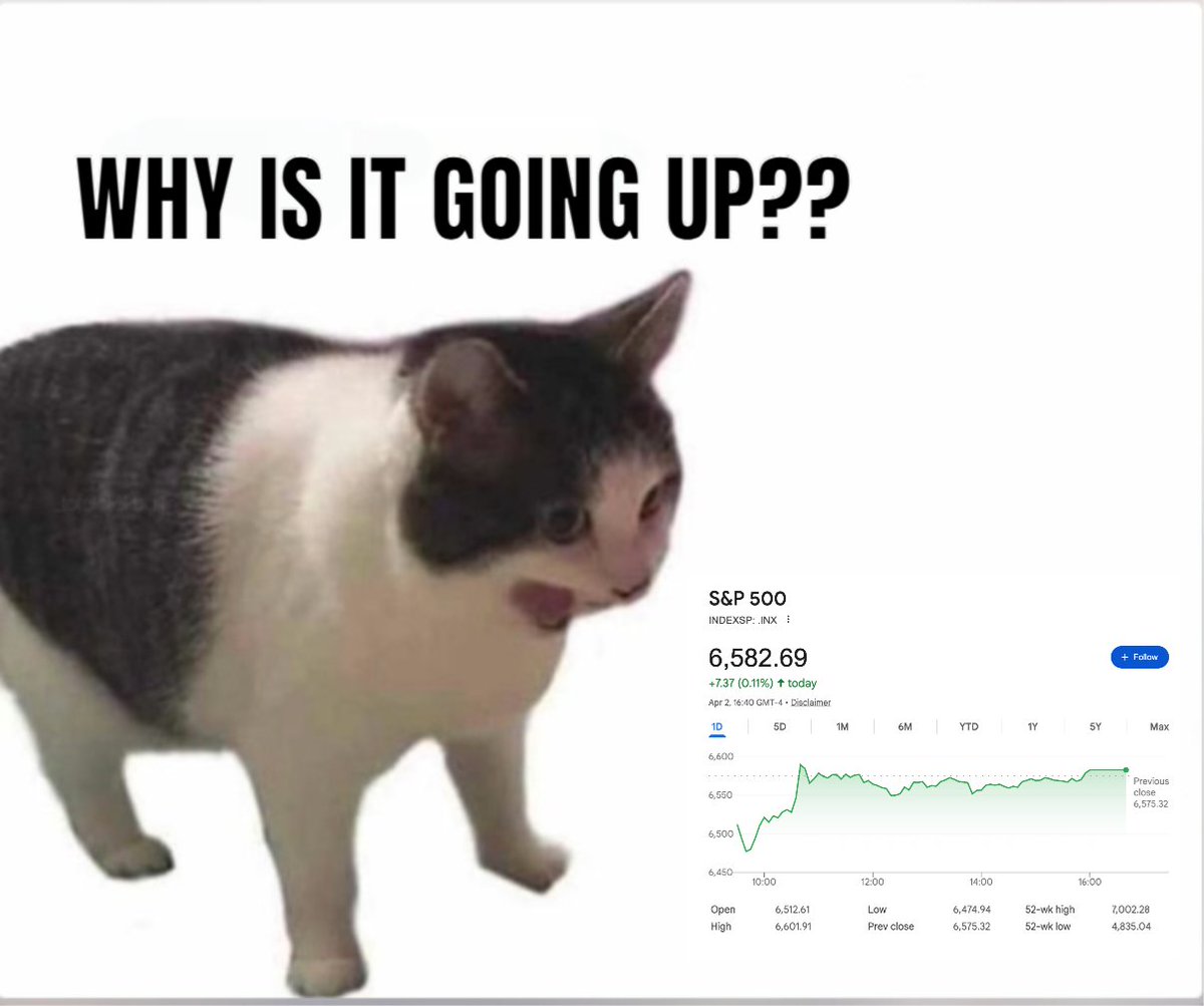 yifei e/λ (meetmeinshibuya april 25) tweet media