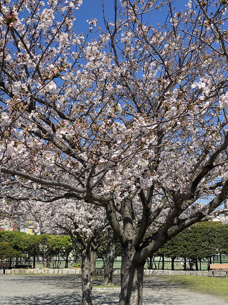 ᴇ ᴍ ɪ ᴋ ᴏ ꪔ̤̥ ꪔ̤̮ ꪔ̤̥ tweet media