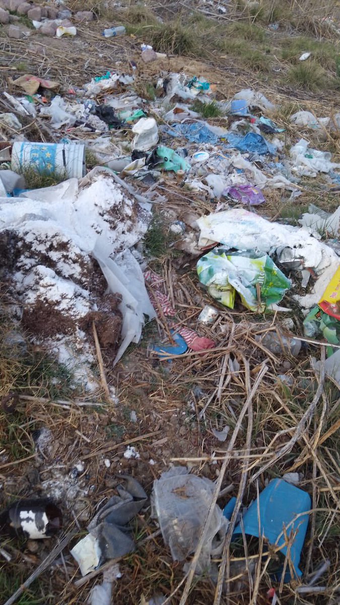 Abraham Mojica tweet media