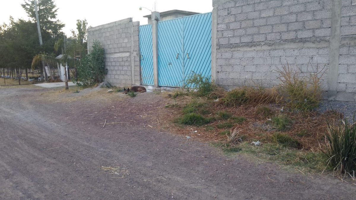 Abraham Mojica tweet media