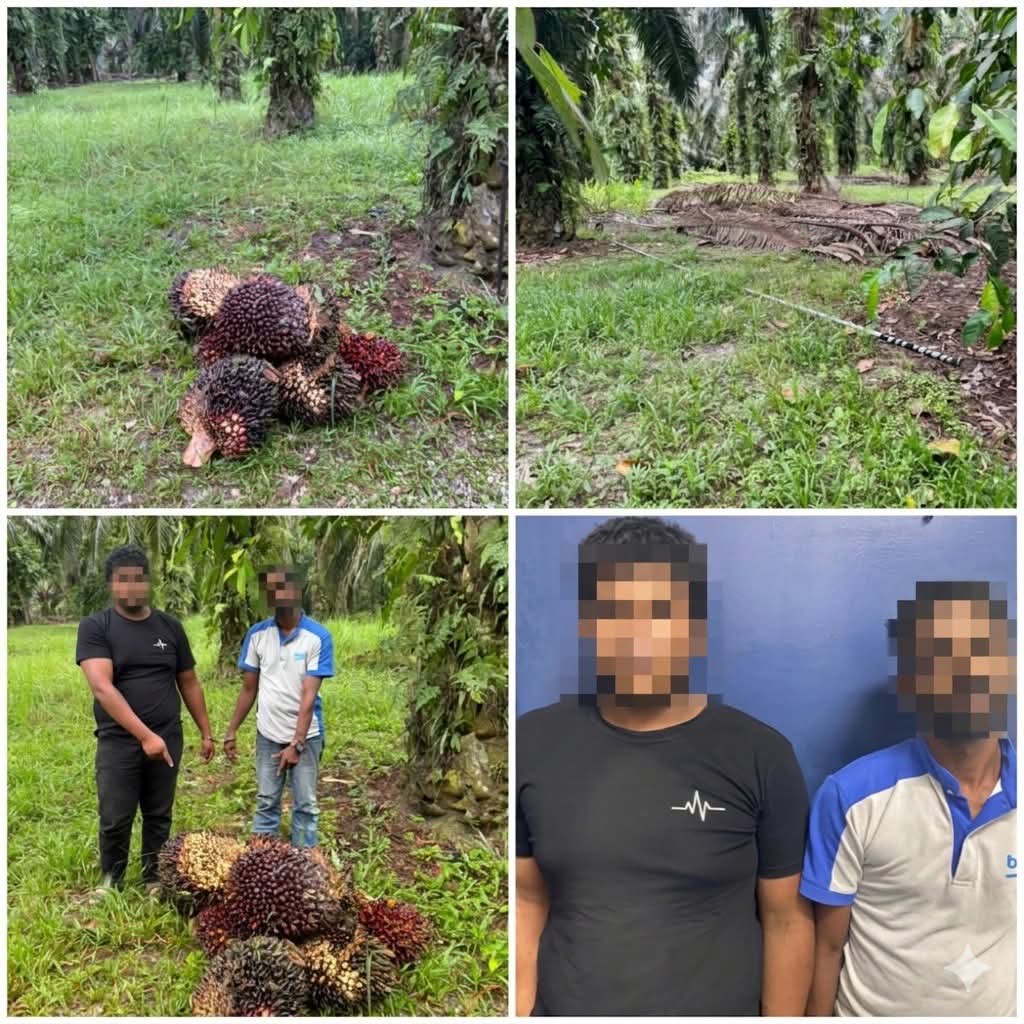 MYNEWSHUB tweet media