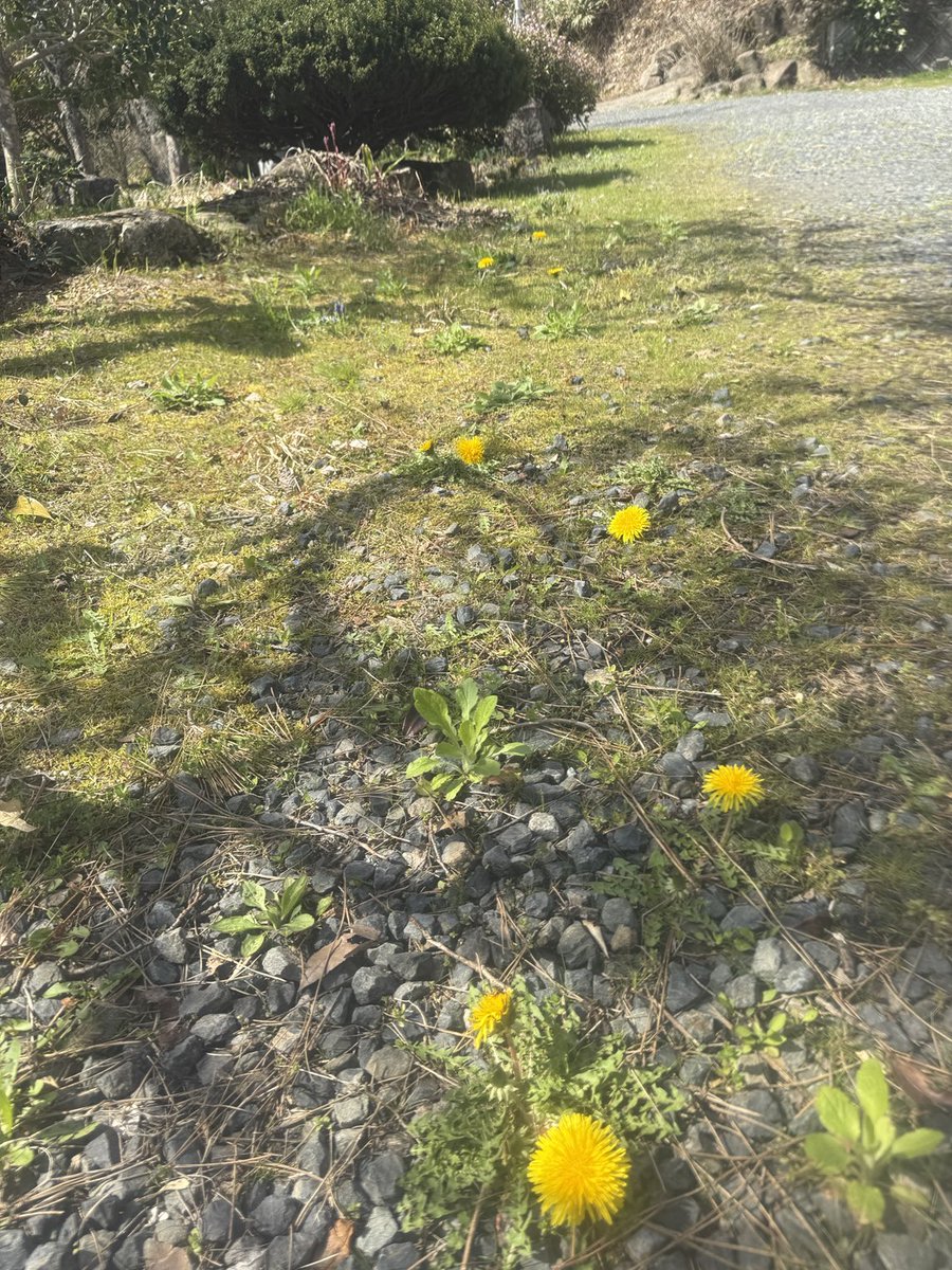 神石高原じゃけん