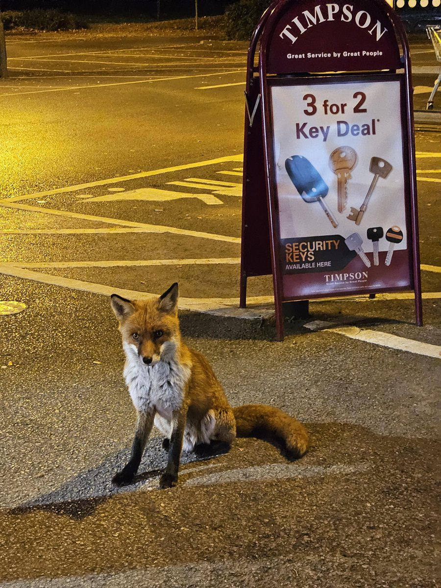 Free Syria Media Hub tweet media