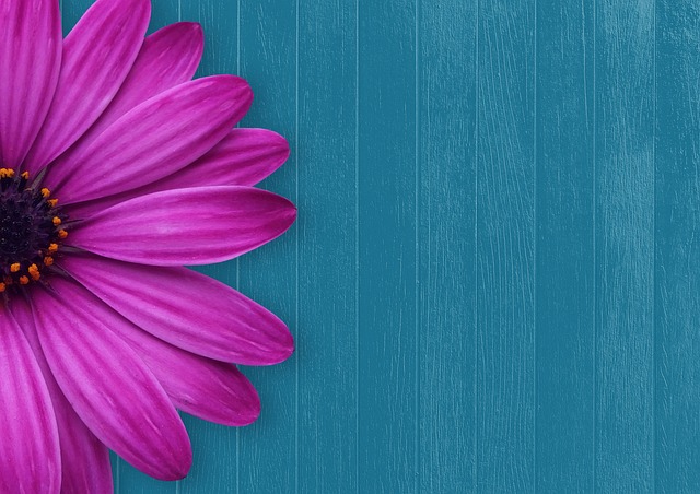 Matthew Lee tweet media