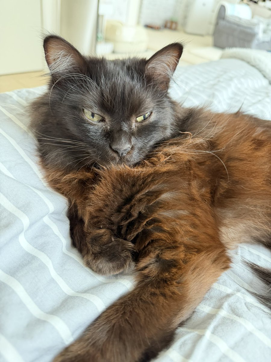 โกmoco๐ *โ
๐พ็ซใฏๅผทใๅชใใๅๅคง๐พ tweet media