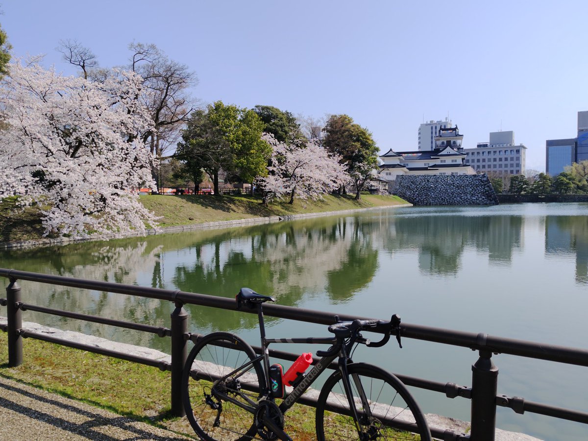 samzoku's tweet photo. 富山城の桜
お花見日和���す https://t.co/YuSG6Woobd