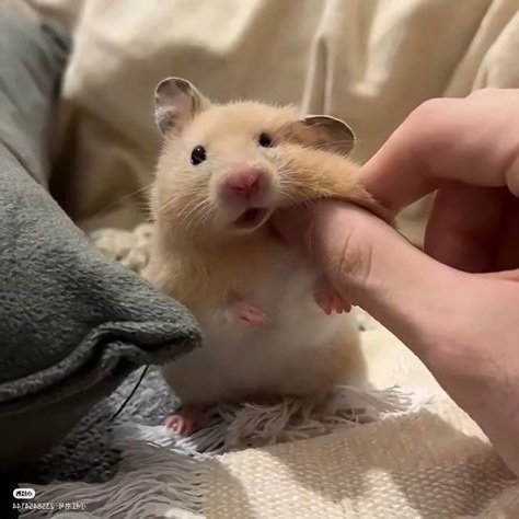 jiwoo pics tweet media