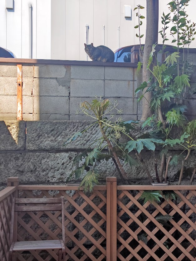 BAYLOOP ベイループ羽田 (釣具/イベント/展示/フリマ) NT海洋事業部 羽田拠点 tweet media