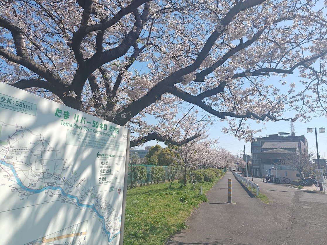 BAYLOOP ベイループ羽田 (釣具/イベント/展示/フリマ) NT海洋事業部 羽田拠点 tweet media