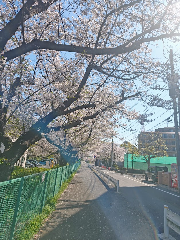 BAYLOOP ベイループ羽田 (釣具/イベント/展示/フリマ) NT海洋事業部 羽田拠点 tweet media