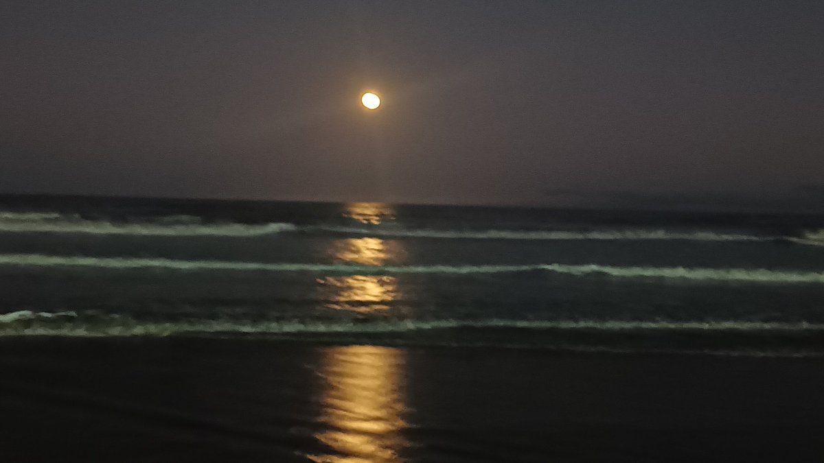 Andrea Frias tweet media