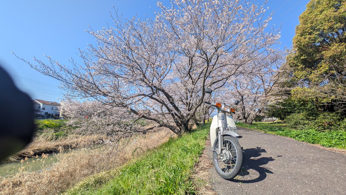 遊牧舎銕仙(回復中) tweet media