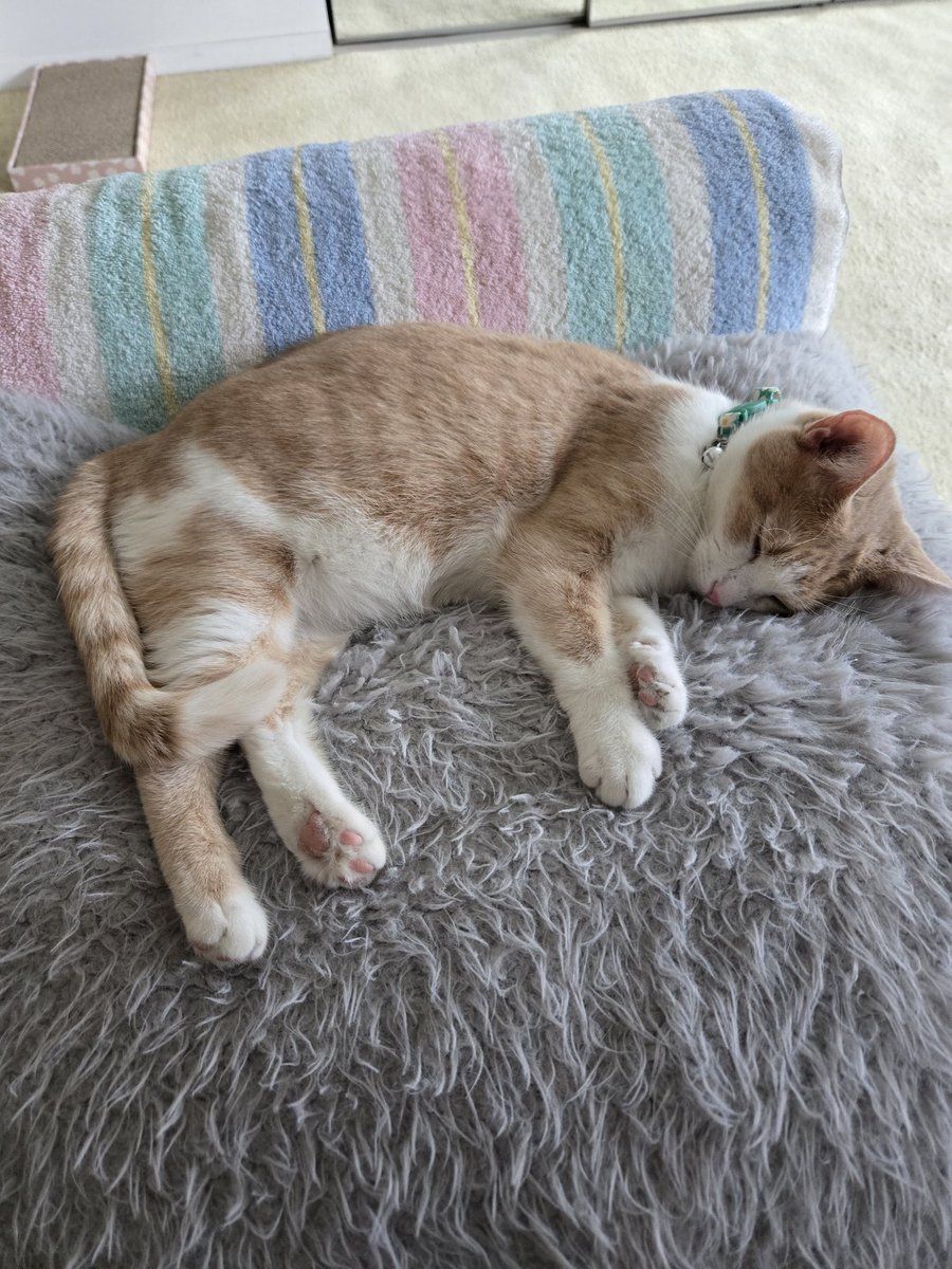 Rini 🦋🩵💙 tweet media