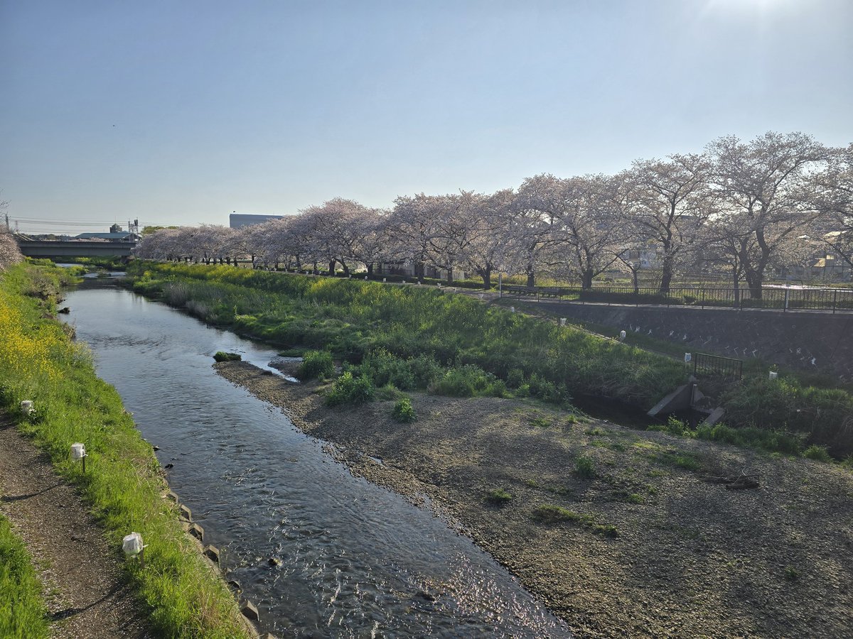 카요(𝕜𝕒𝕪𝕠)૮ . ̫ .｡ა❤︎ tweet media