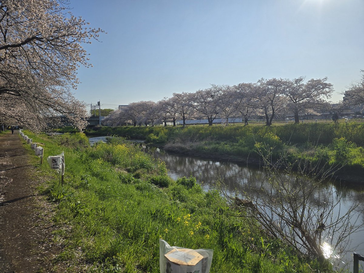 카요(𝕜𝕒𝕪𝕠)૮ . ̫ .｡ა❤︎ tweet media