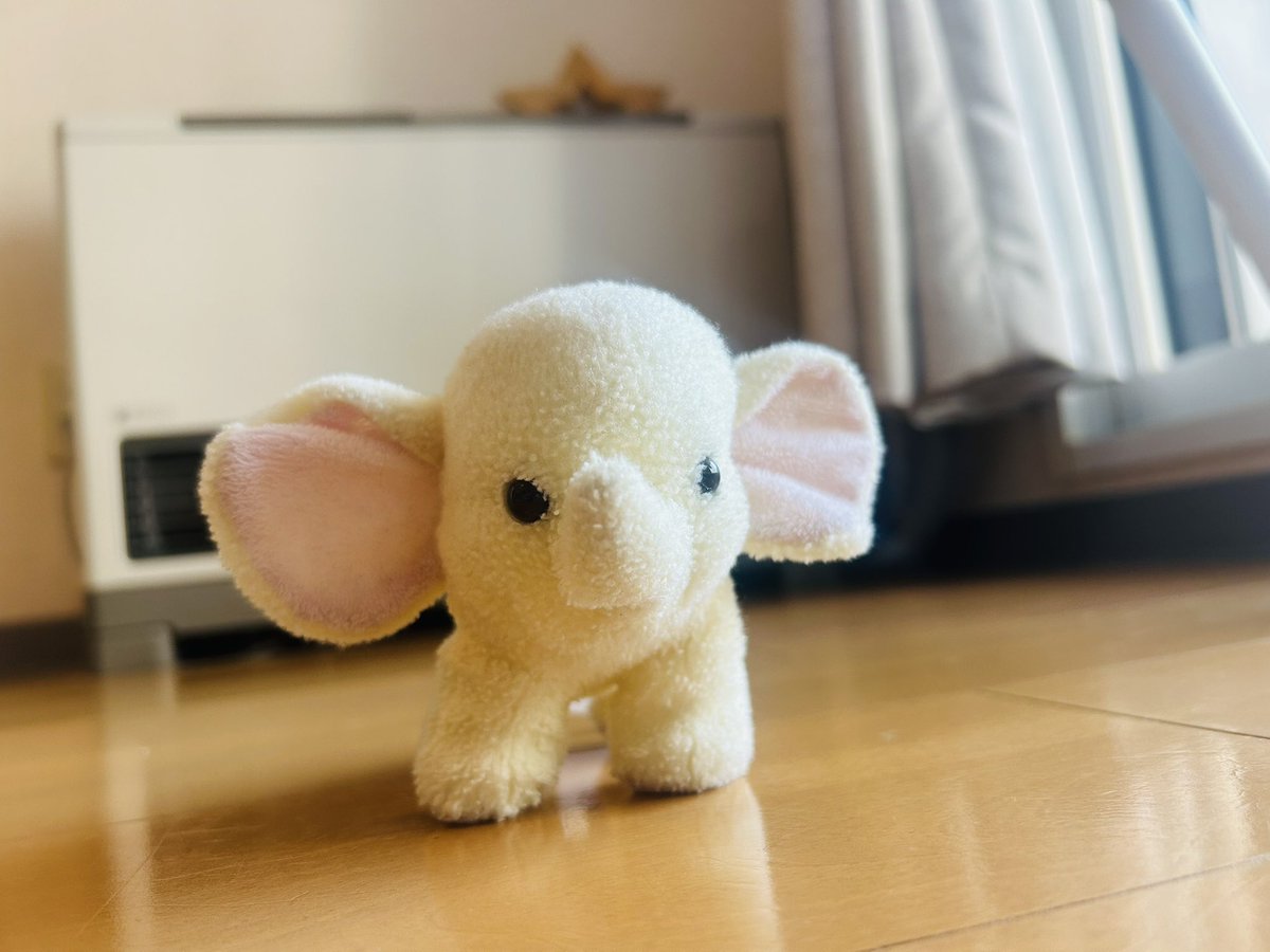 金谷好益 tweet media