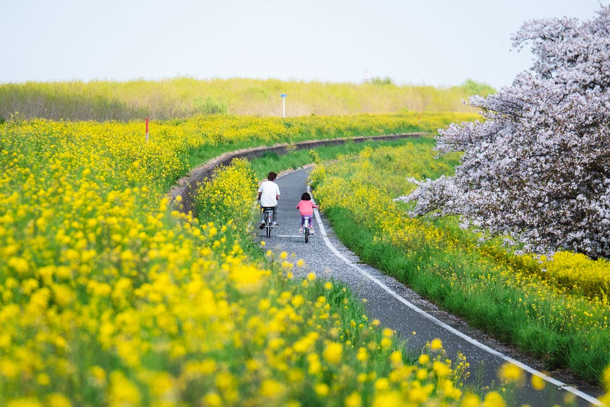 Koh nabe tweet media