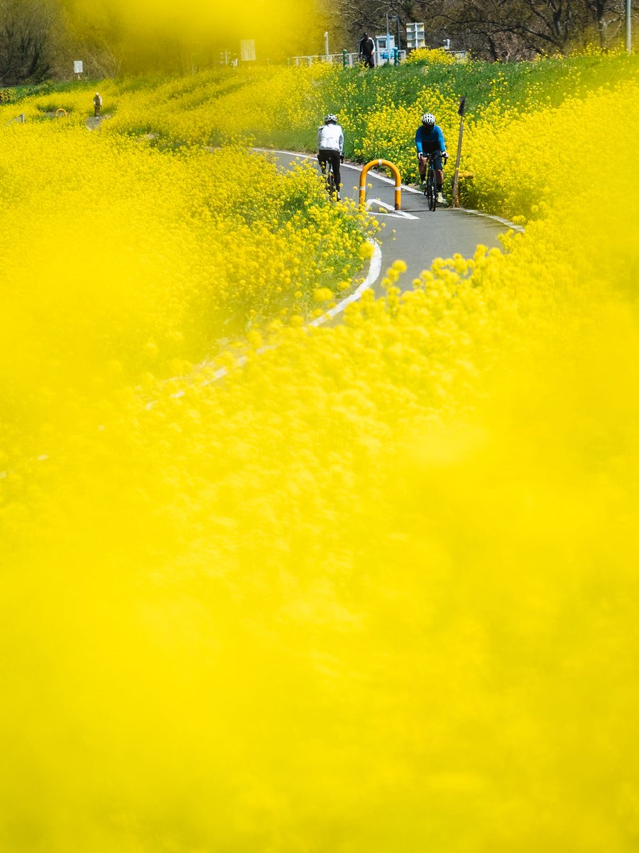 Koh nabe tweet media