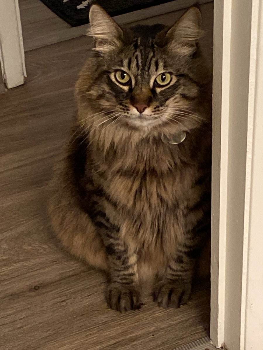 they… they poofed him……