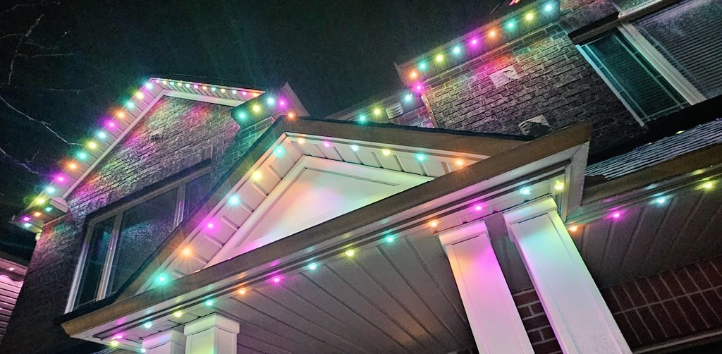 CanadianBlackBear🇨🇦 (CanadianPenny🌈) tweet media