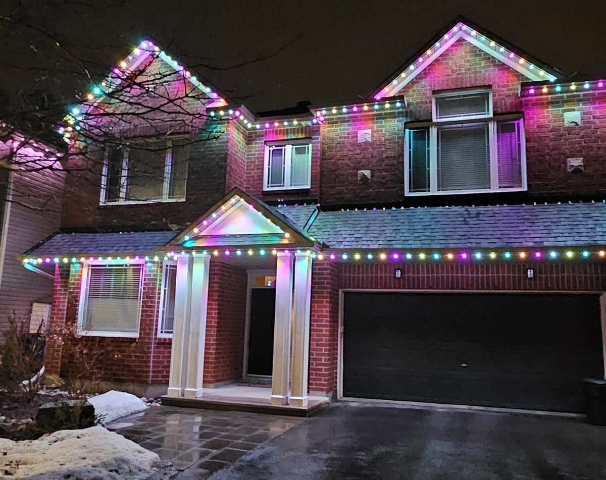 CanadianBlackBear🇨🇦 (CanadianPenny🌈) tweet media