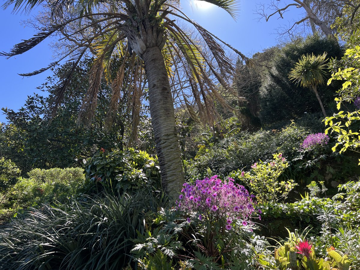 せりこ@女1人で世界中ふらふらしてます。 tweet media