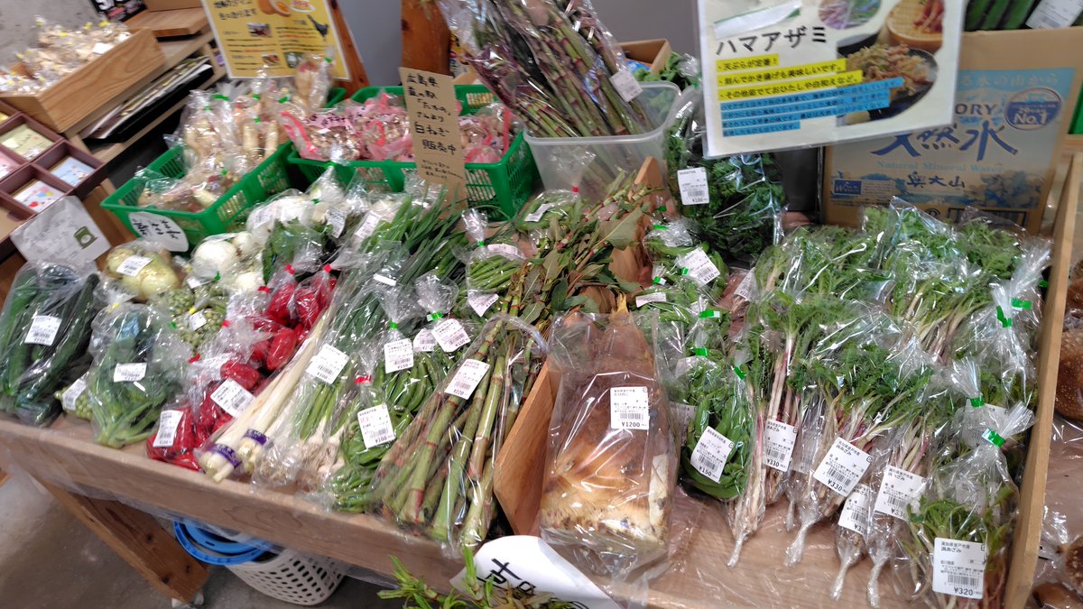 【高知県室戸市】道の駅キラメッセ室戸 tweet media