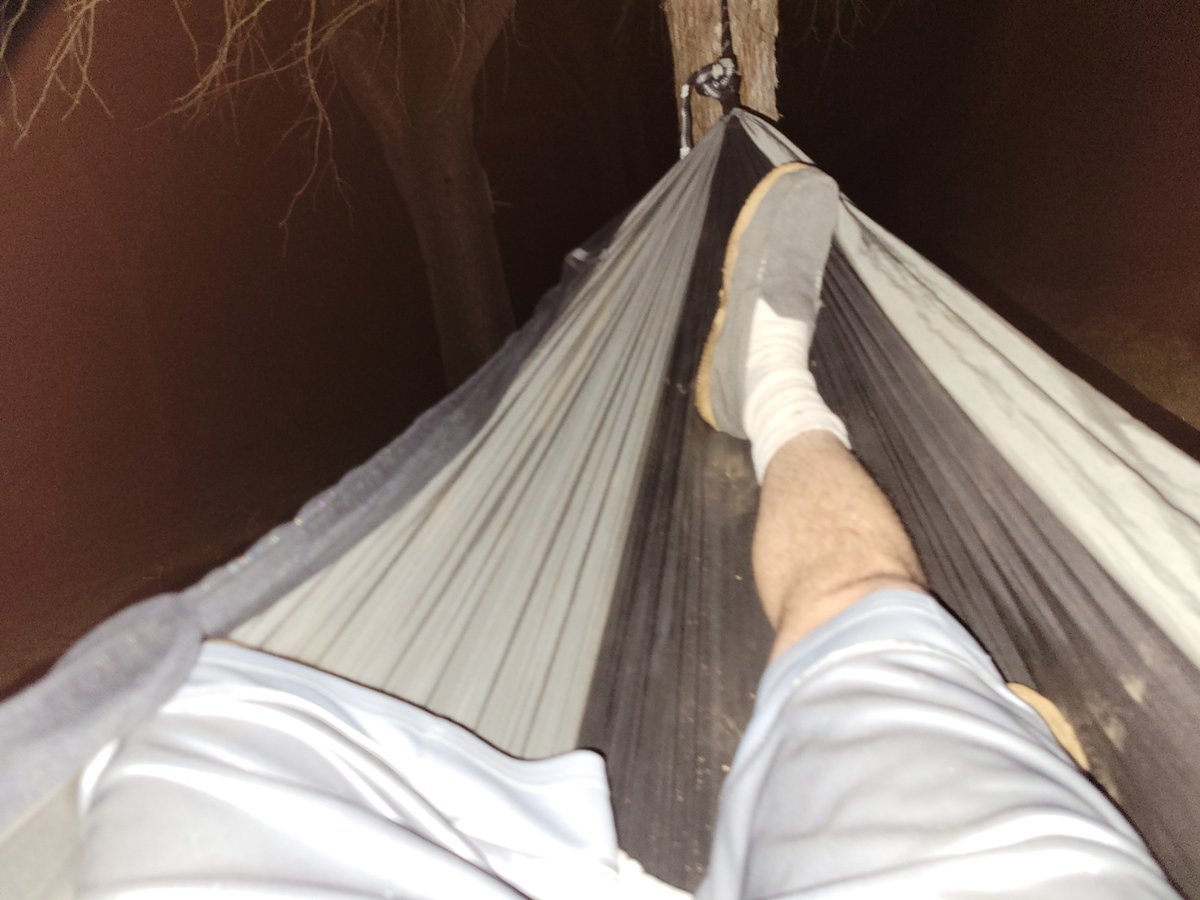 4Carbide tweet media