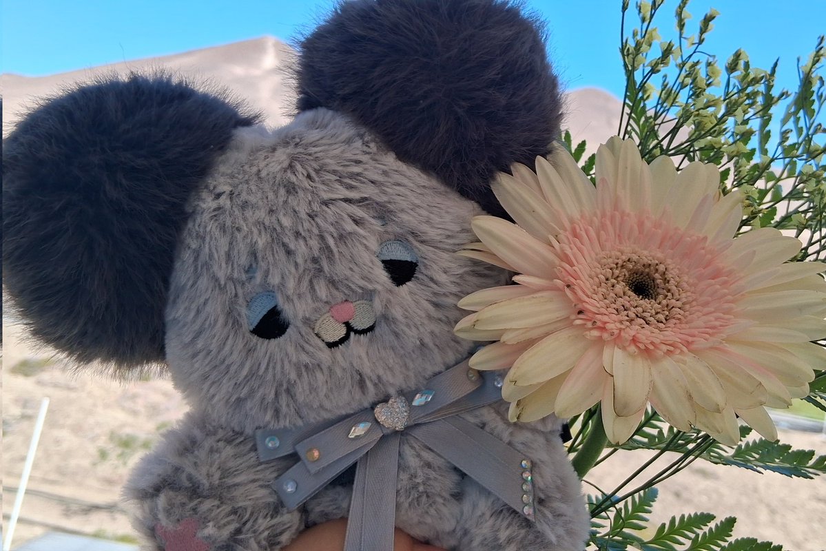 Izu ଘ(੭*ˊᵕˋ)੭* ੈ♡‧₊˚ tweet media