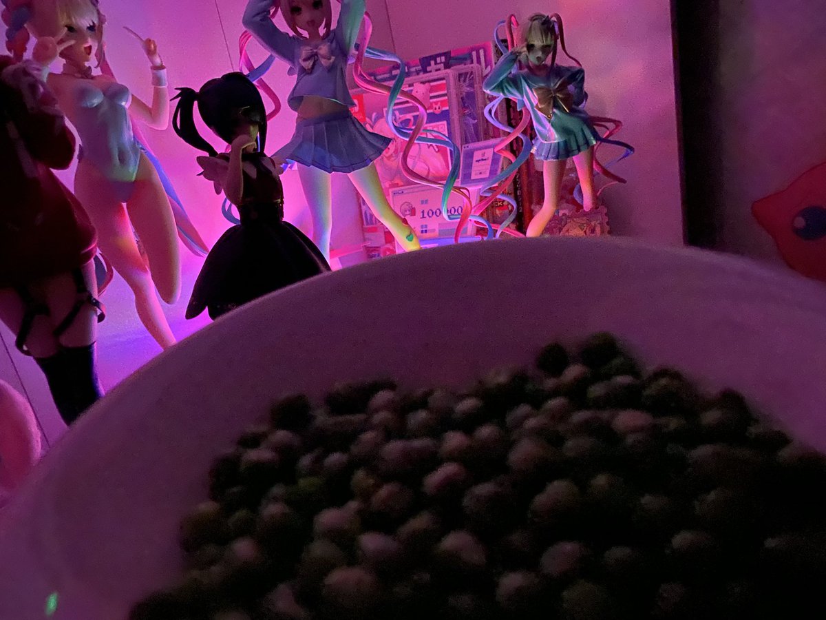 ⊹⊱•••《 KIA 》•••⊰⊹ tweet media