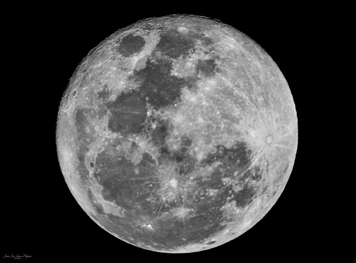 Juan Jose Lopez Negrette tweet media