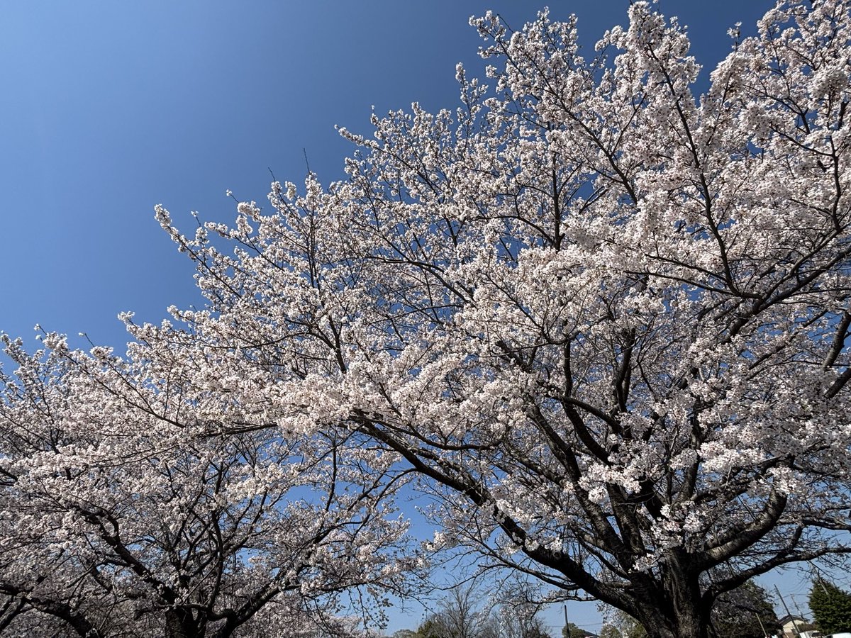 釣りキチ助平さん　(START LINE) tweet media
