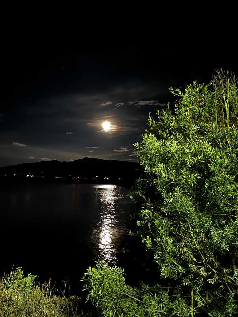 SielvaMaria🪷 tweet media