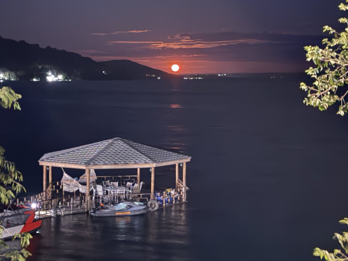 Carlos Fion tweet media