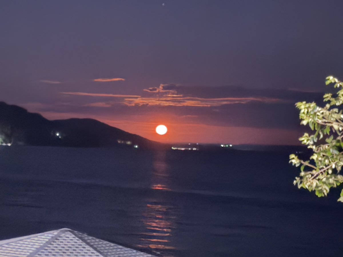 Carlos Fion tweet media