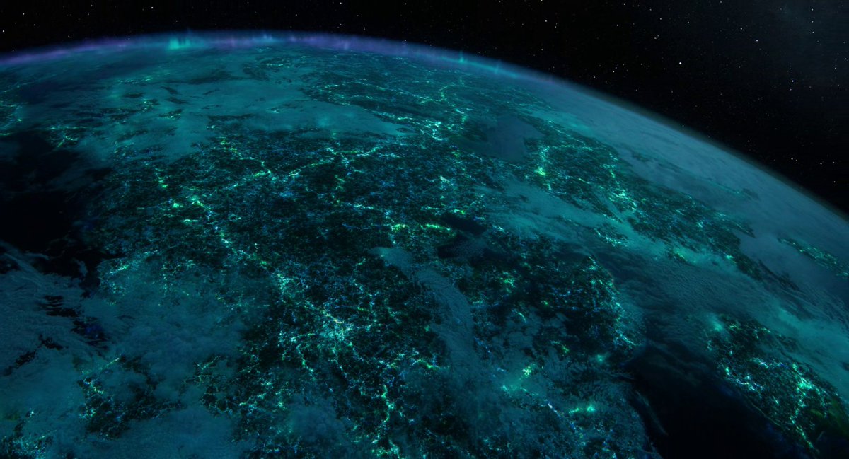 Flilis 🇧🇷 tweet media