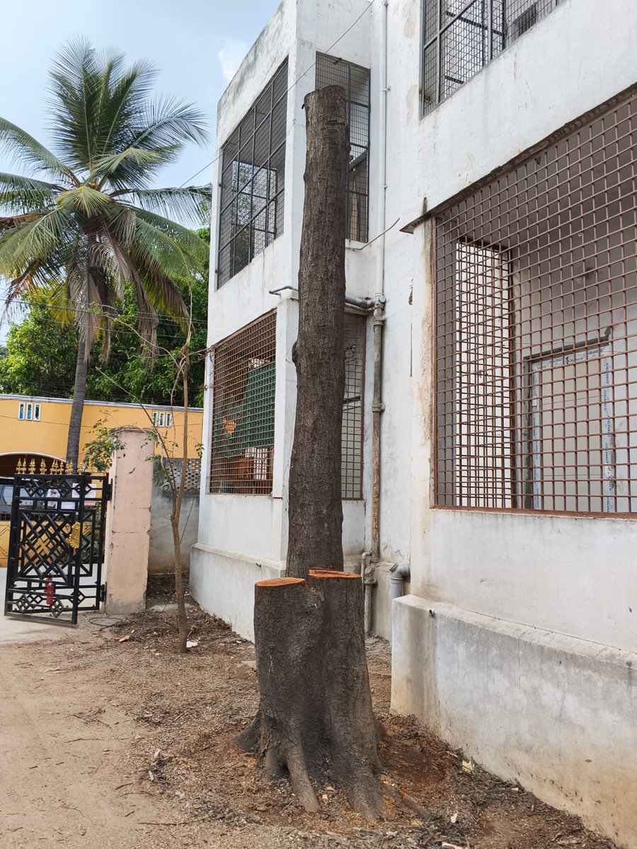 Kalidindi Srinivas Varma (KSV) tweet media