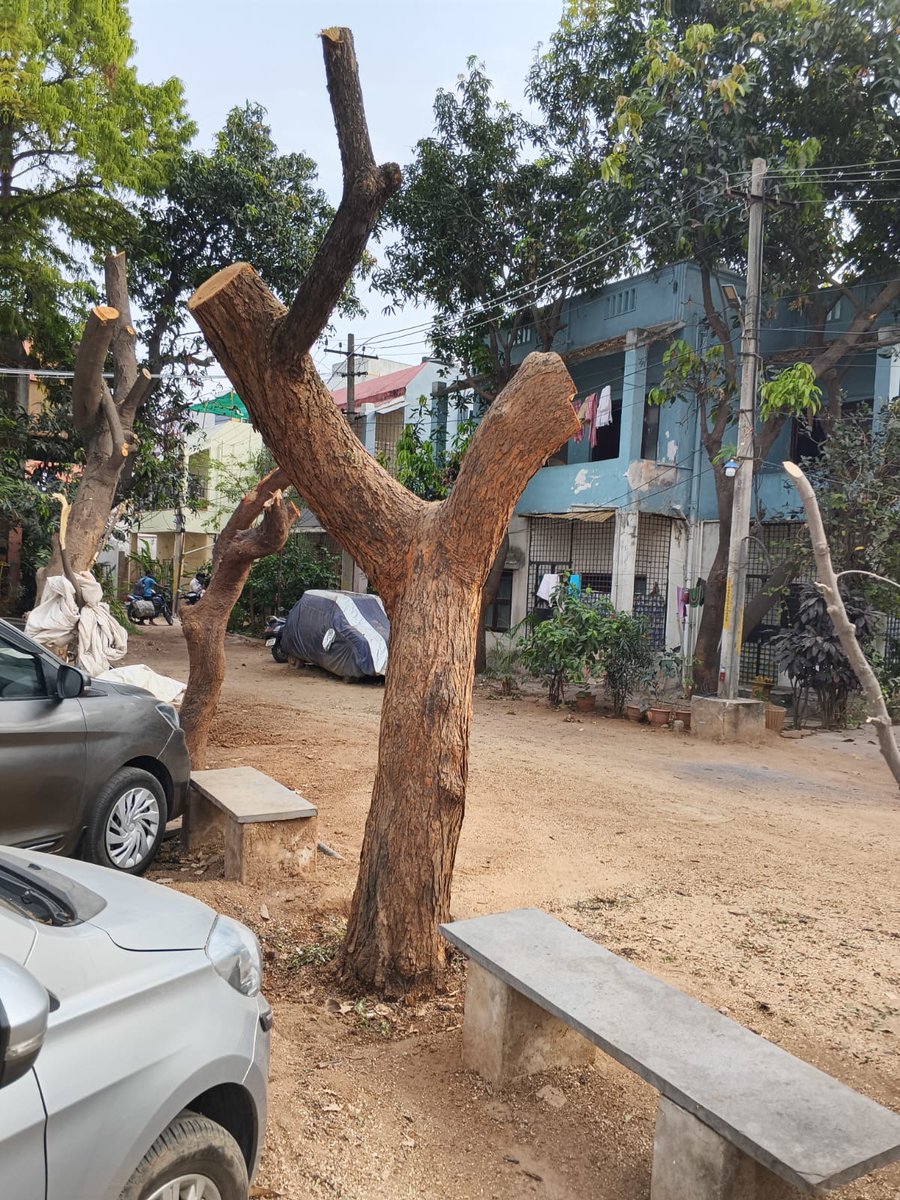 Kalidindi Srinivas Varma (KSV) tweet media