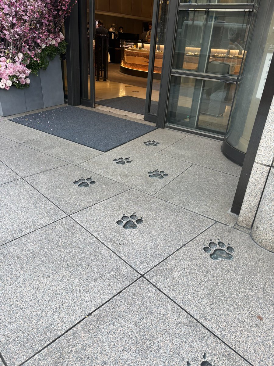 橋口幸生 tweet media