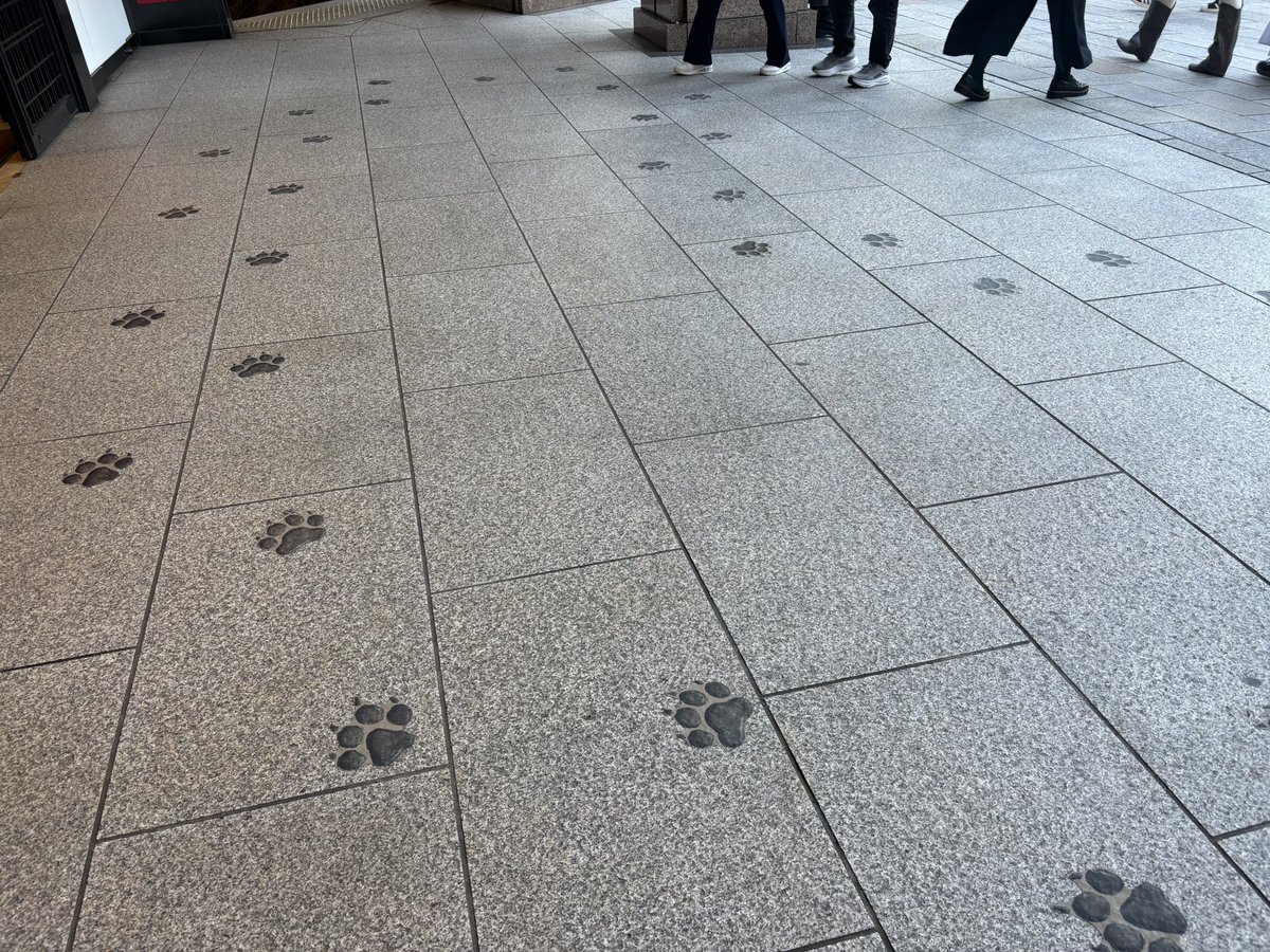 橋口幸生 tweet media