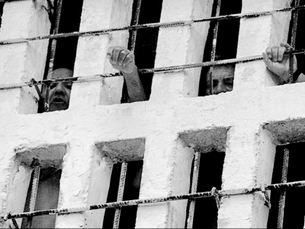 Jhonf Fonseca tweet media