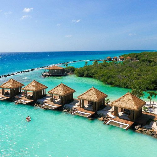 Mati Aromi tweet media