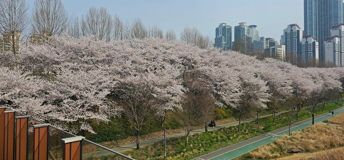 집무새 tweet media