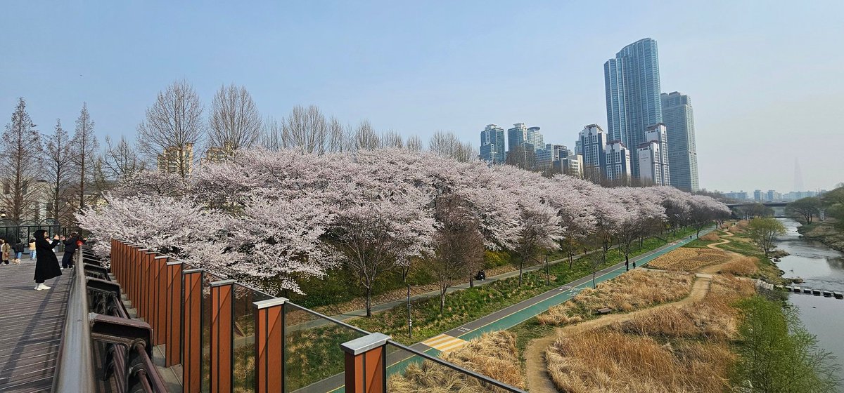 집무새 tweet media