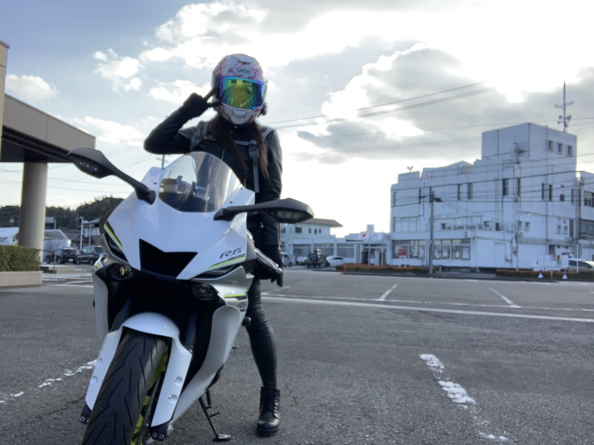 traveler🐻 tweet media