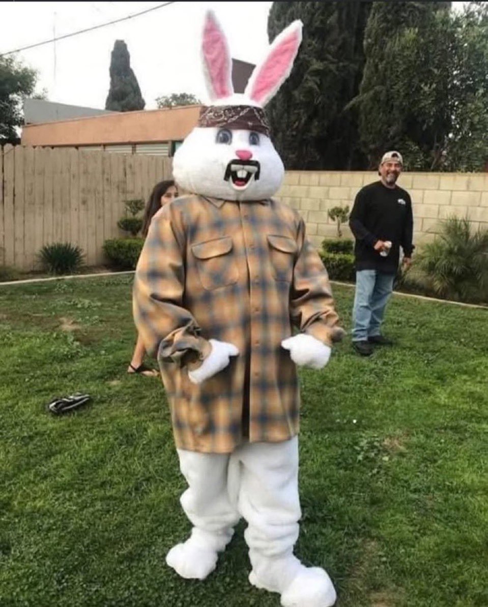 Donny Berger tweet media