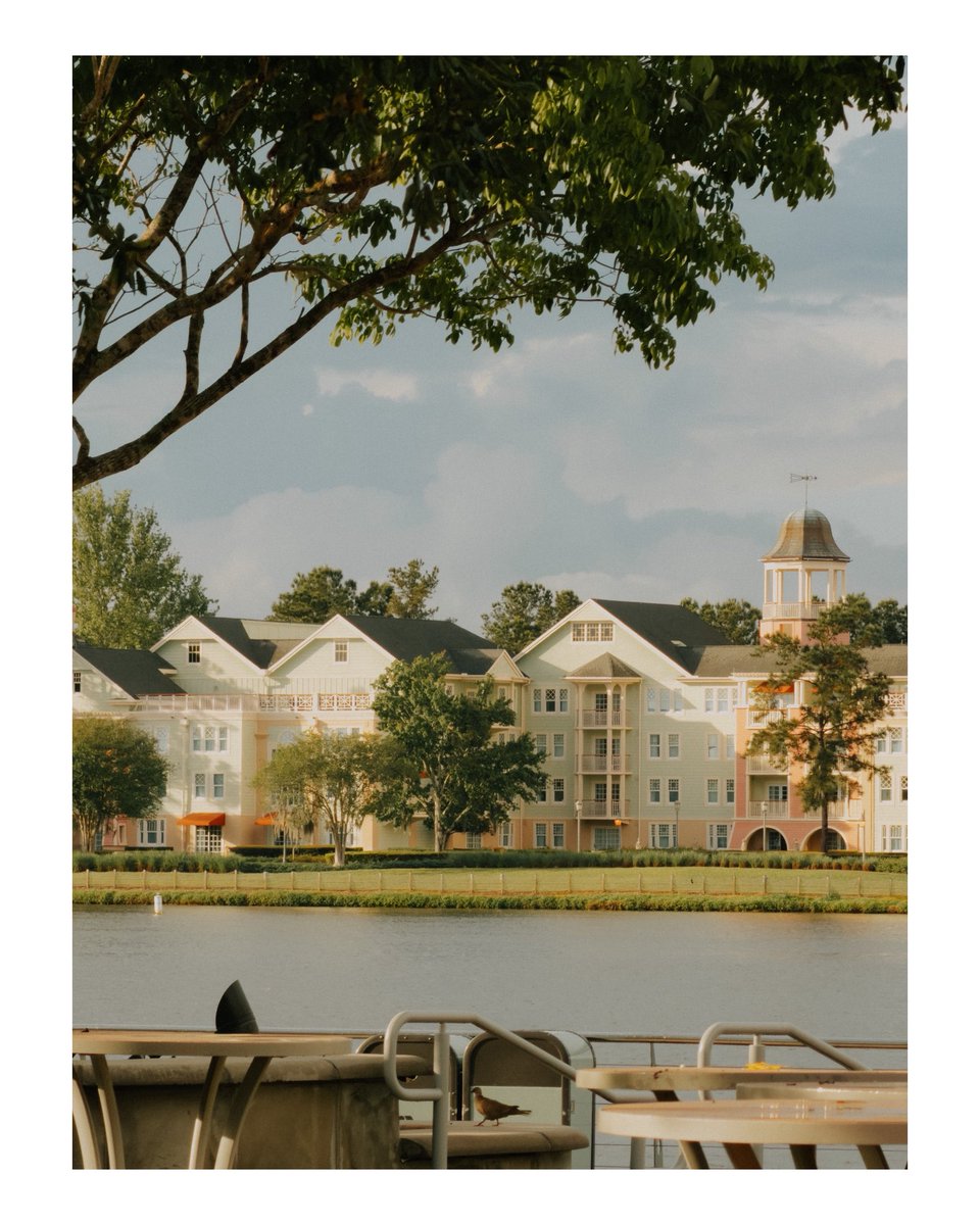 Sam Camacho tweet media