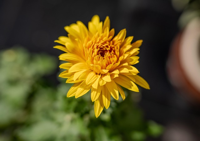 Ryan Campbell tweet media