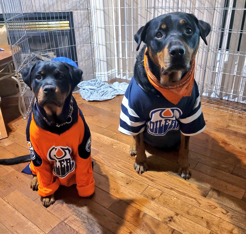 Team Servicerottie🇨🇦🐕‍🦺🦽 tweet media
